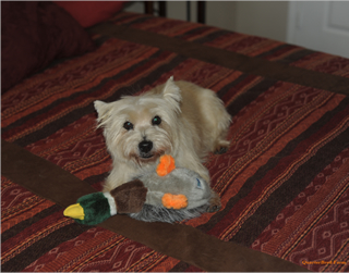 Playing with her honker toy